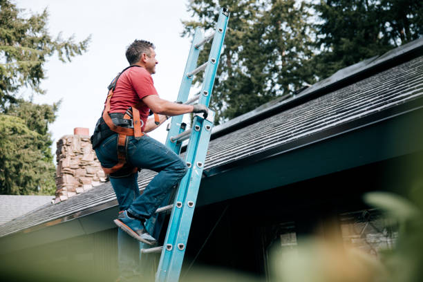 Best Emergency Roof Repair Services  in Winona, MN